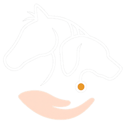 Dr Isabelle Rosser, veterinary chiropractor serving London and the Home Counties