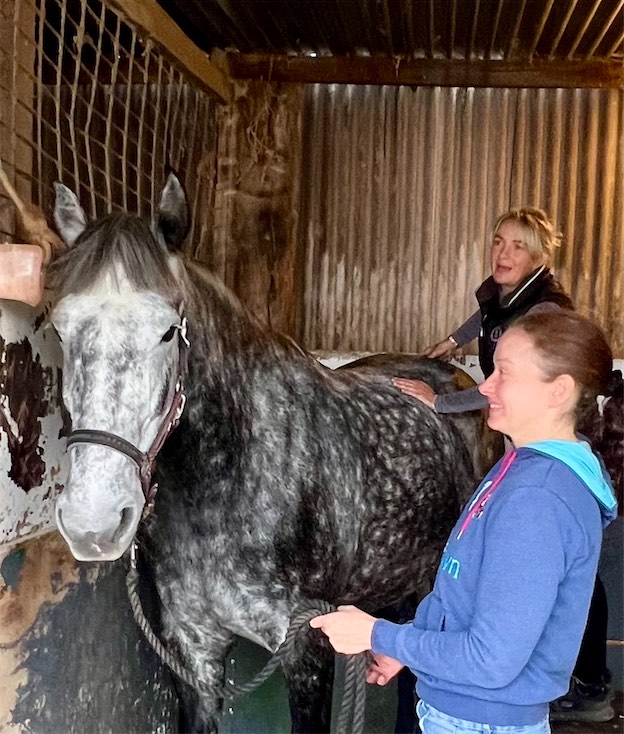Dr Isabelle Rosser providing chiropractic assessment for a horse 