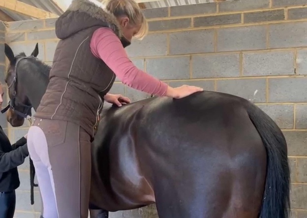Dr Isabell Rosser, veterinary chiropractor, providing care in a stable environment